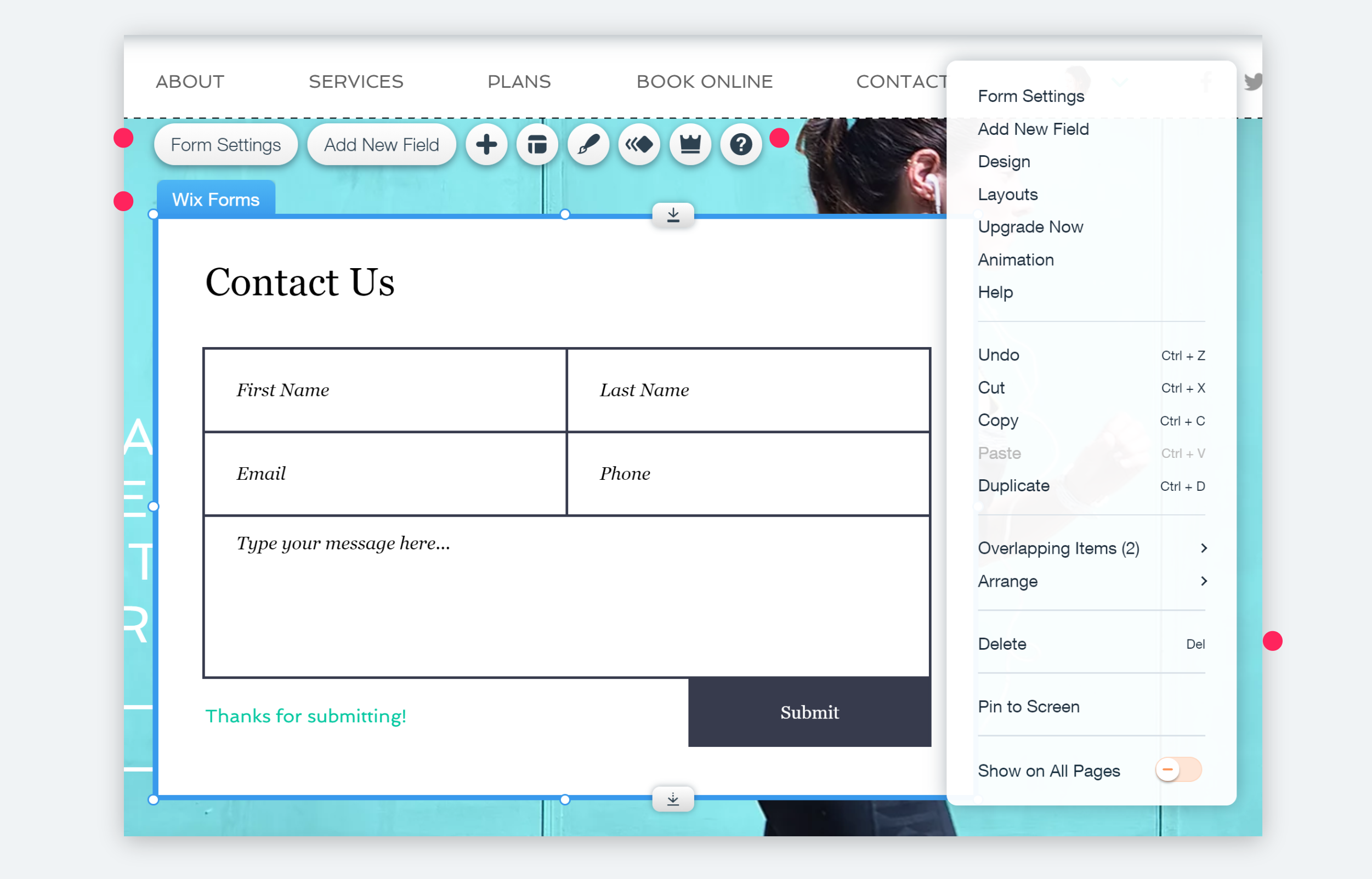 An Application Widget for Wix Forms, showing its toolbar and right-click menu
